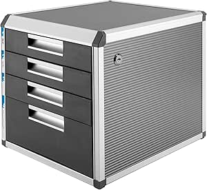 Amazon.com: DreamRcoach 4 Drawer File Sorters, Organizer, Desktop ...