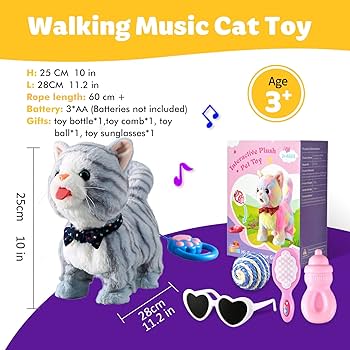 Amazon.com: Gray Leash Walking Cat Set Interactive Talking