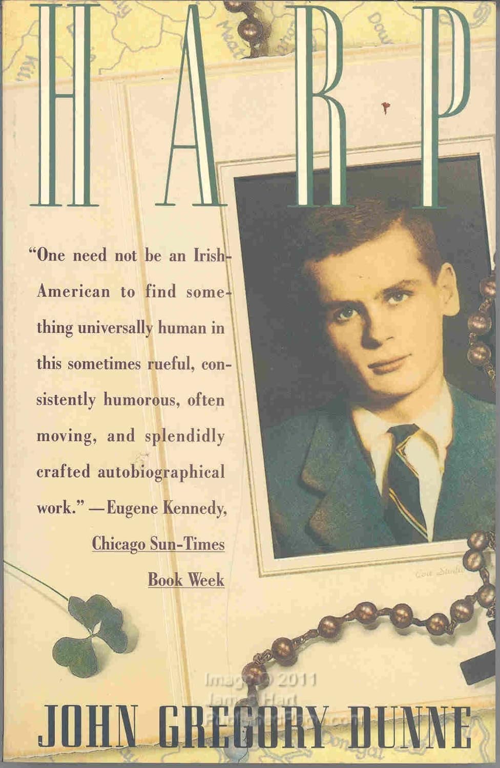 Harp Dunne, John Gregory 9780671688523 Books