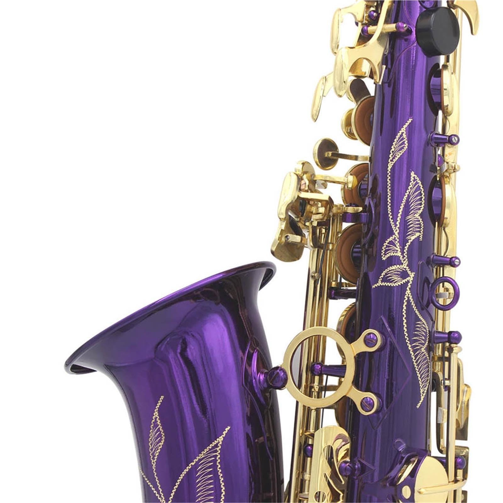 Saxofón Rendimiento Del Examen Calificado De Saxofón Alto En Mi Bemol