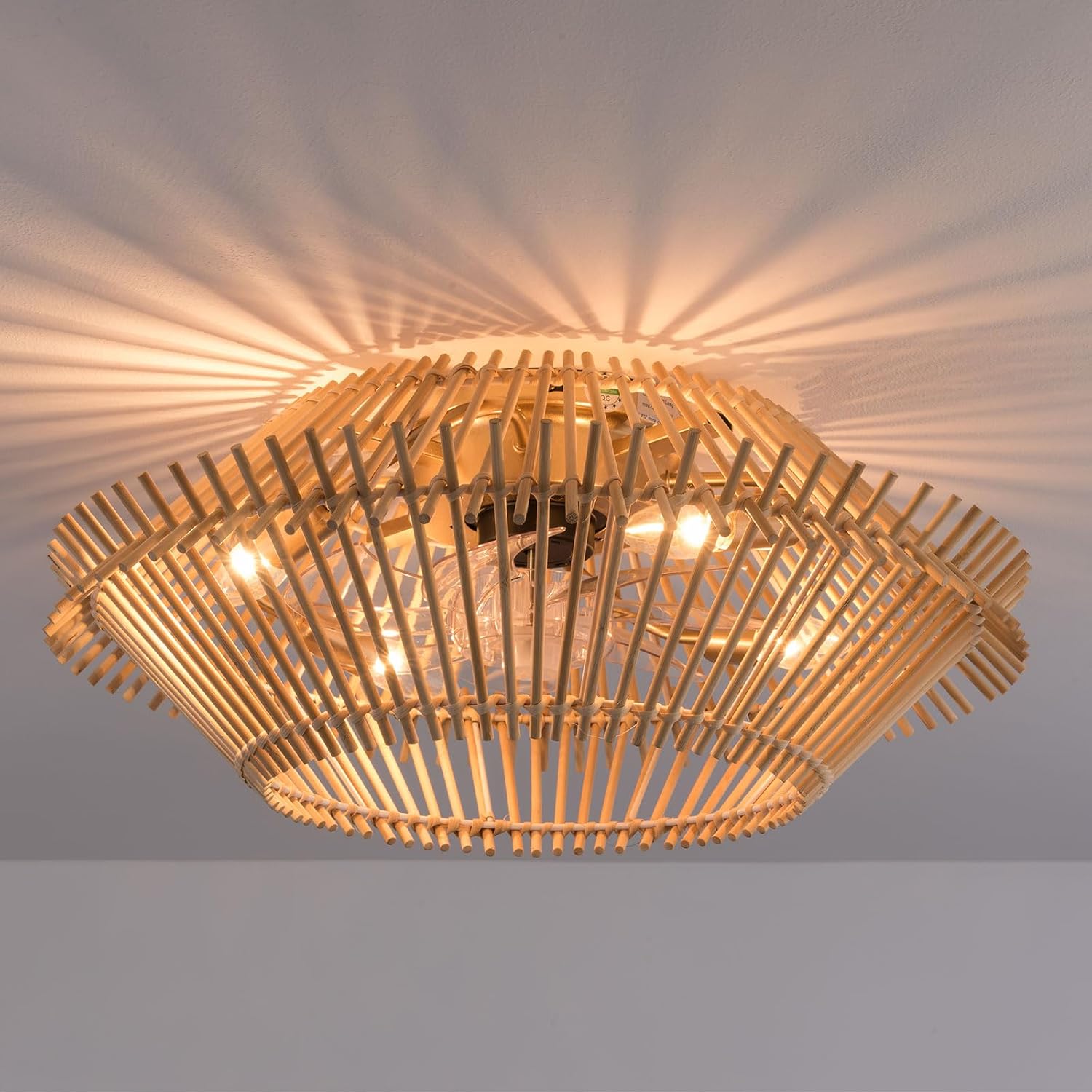 WINDALY Ceilifans, Fan Lights, 18" Caged Ceilifan with Light Fmount, Low Profile Ceilifan Light with Remote Control, 6 Speeds Ceilifan Light for Bedroom, Liviroom, Kitchen