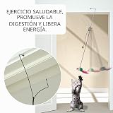 Ver la foto 5
