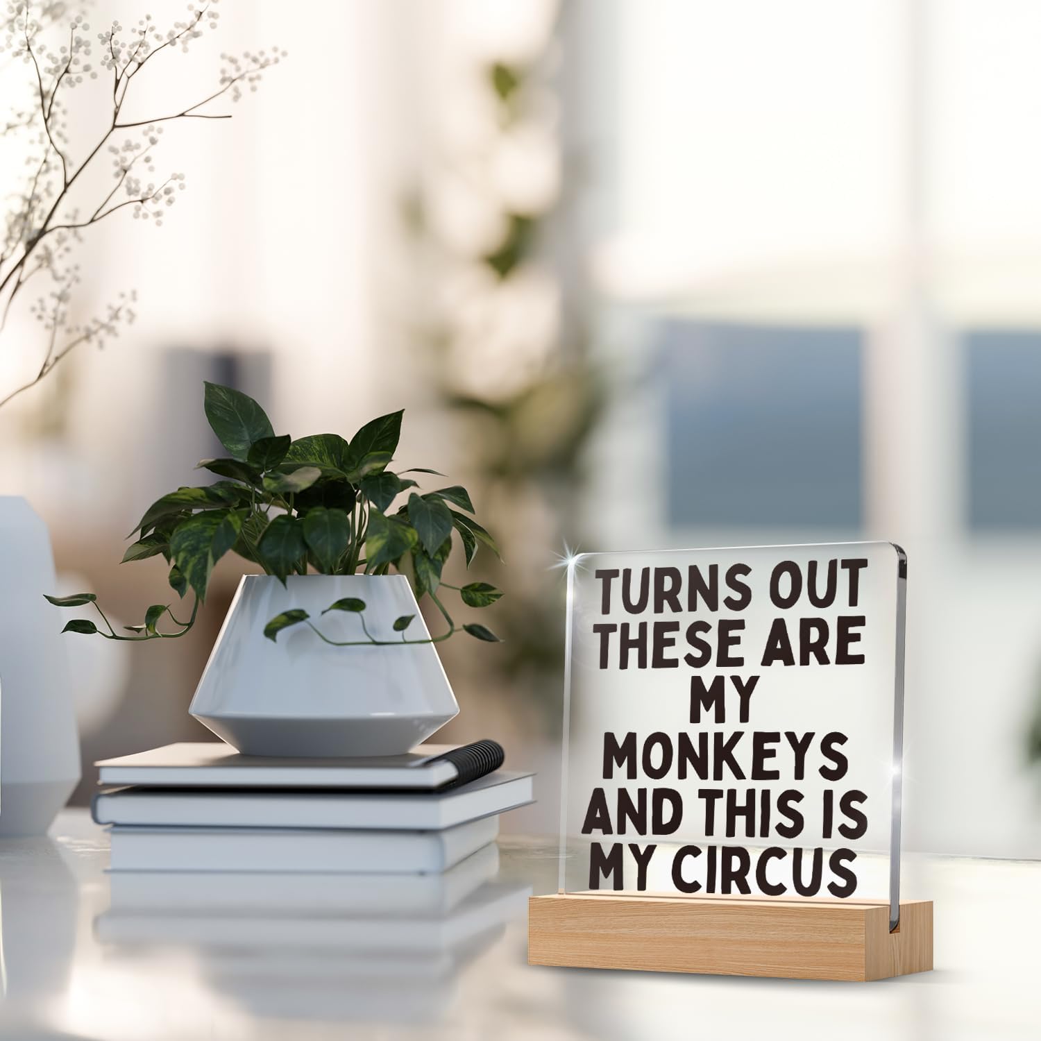 Turns Out These Are My Monkeys And This Is My Circus Decorations Gifts for Women Boss Lady Mom Coworker, Funny Mom Birthday Presents, Funny Home Decor, Aesthetic Typography Living Room Decor - Image 4