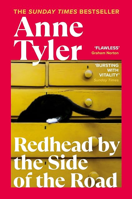 Portada de Redhead by the Side of the Road: A Booker-nominated novel about loneliness and finding love late in life