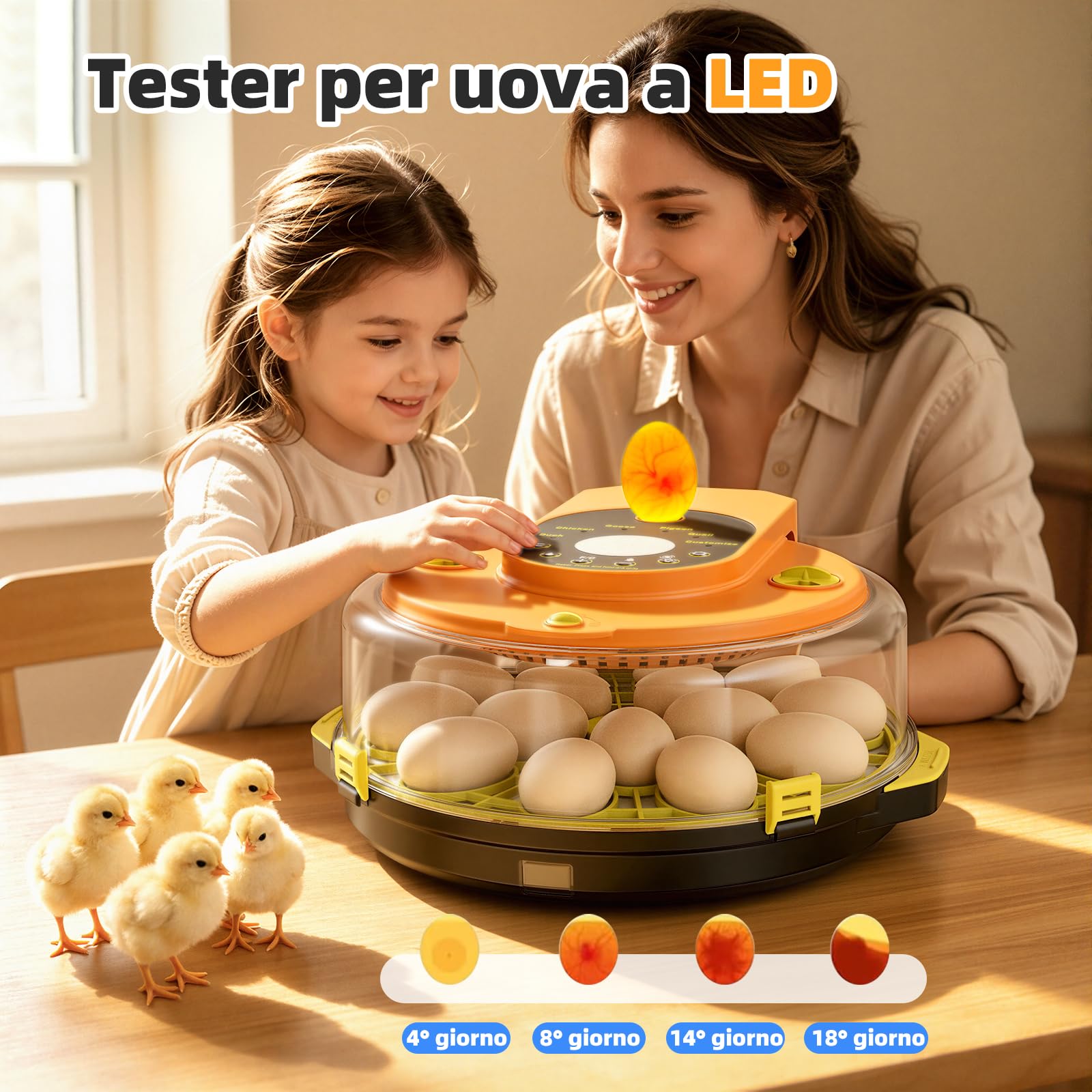 Incubatrice per Uova Automatica 15 Uova, Incubatrice Digitale con 5 Modalità, Girauova Automatico, Controllo Temperatura e Umidità, Sperauova Integrato per Uova di Gallina, Quaglia e Anatra