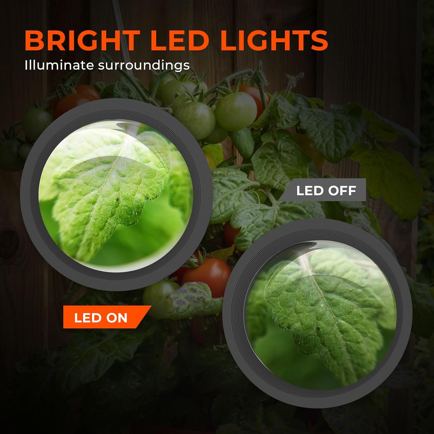 LED lights comparison on Spider Farmer SF-Magnifier