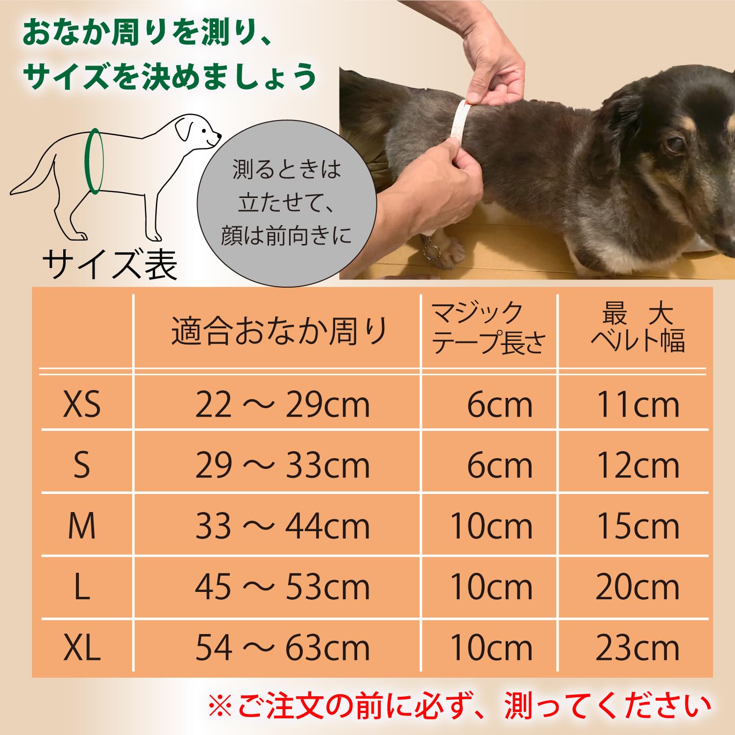 Amazon.co.jp: PURPLE7 犬用 マナーベルト オス メッシュ 吸収層 面