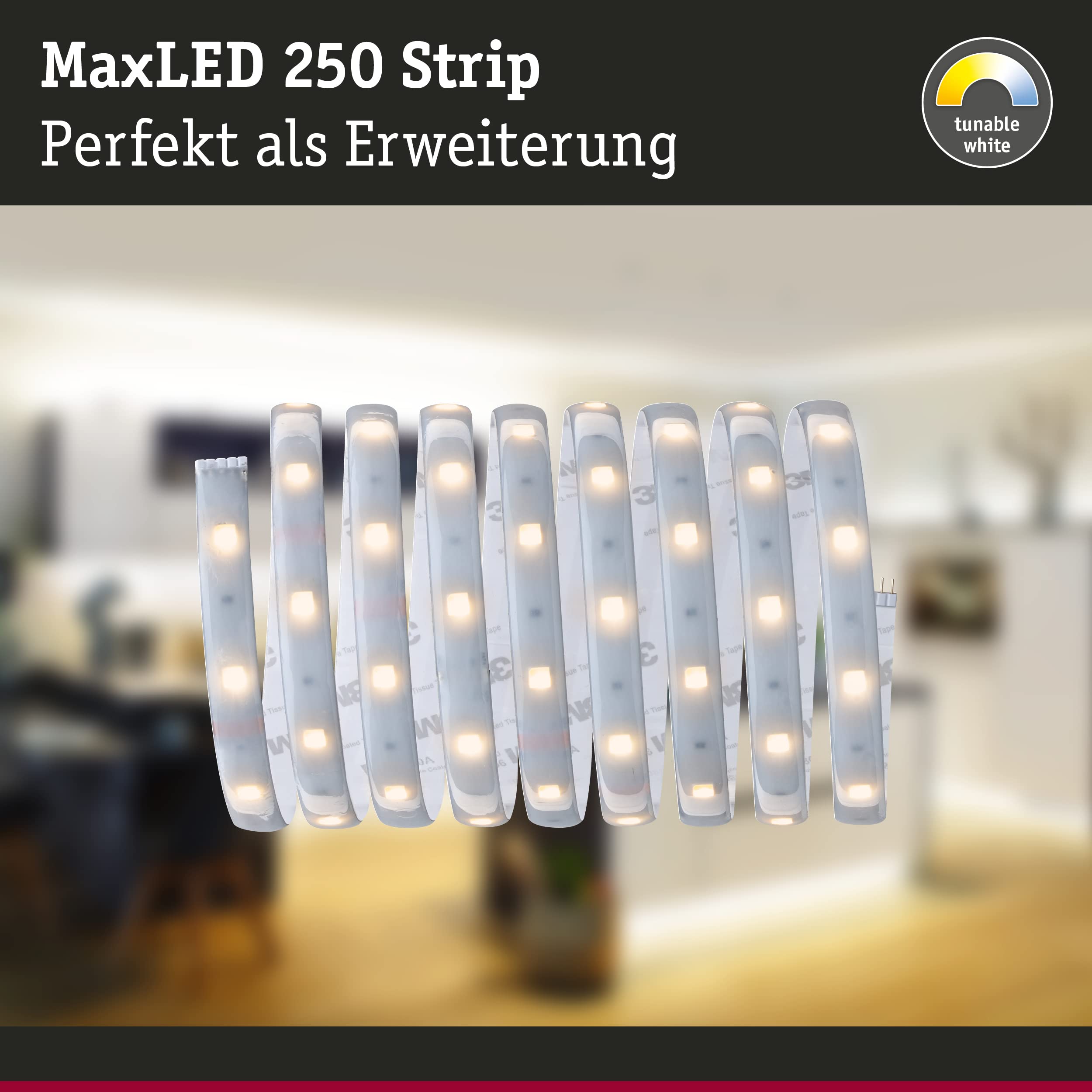 Paulmann 79879 LED Stripe MaxLED 250 2,5m Tunable White IP44