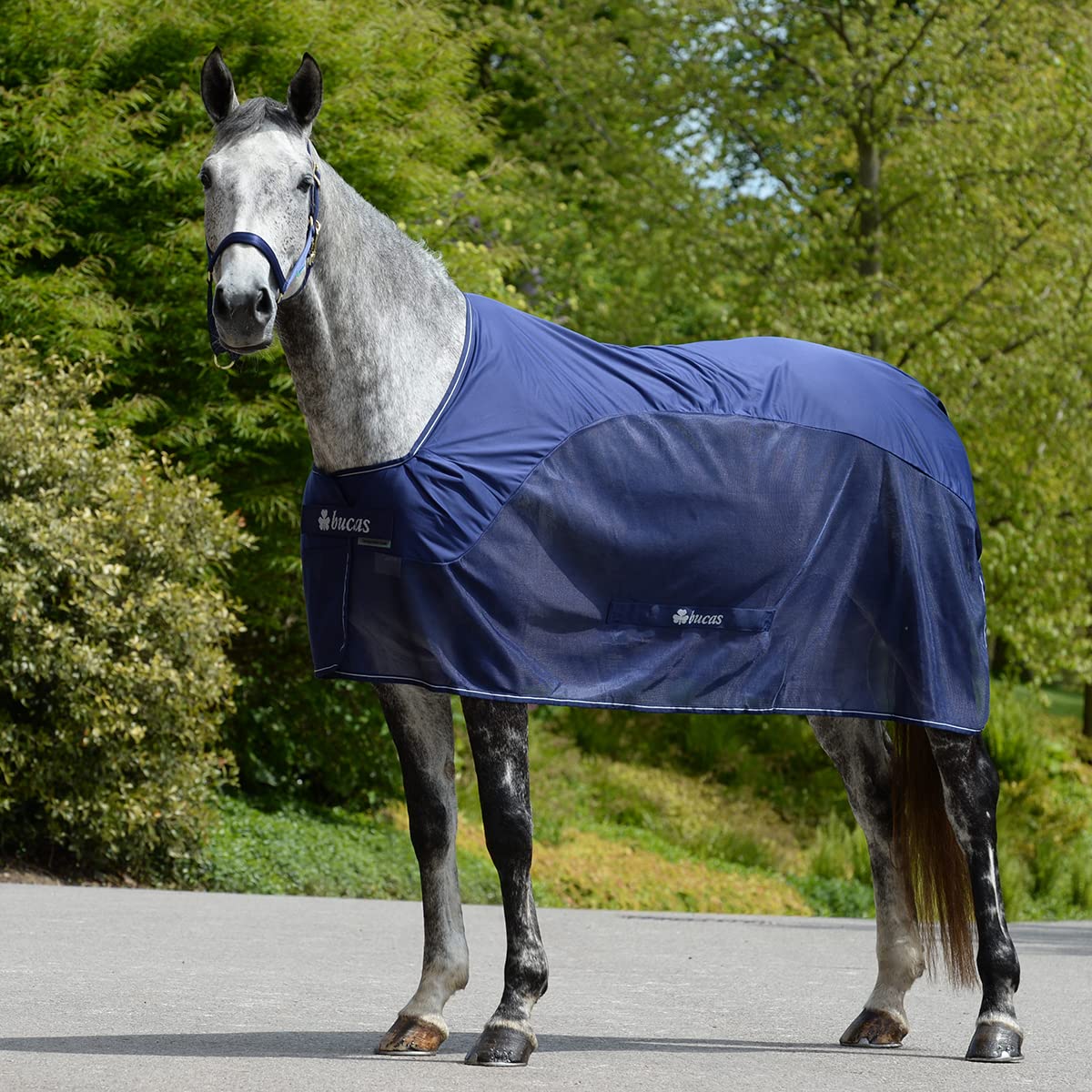 Bucas Competition Cooler - navy/silver, Groesse:165