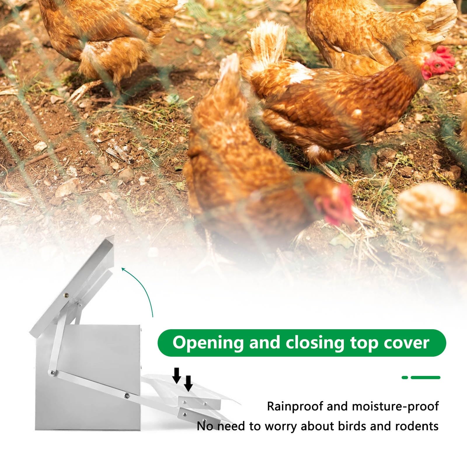 Comedero AutomáTico para Gallinas Comedero con Pedal AutomáTico Interruptor de Gravedad Comedero Gallinas Antipajaros FáCil de Limpiar Comederos AutomáTicos de Pollos con Tapa