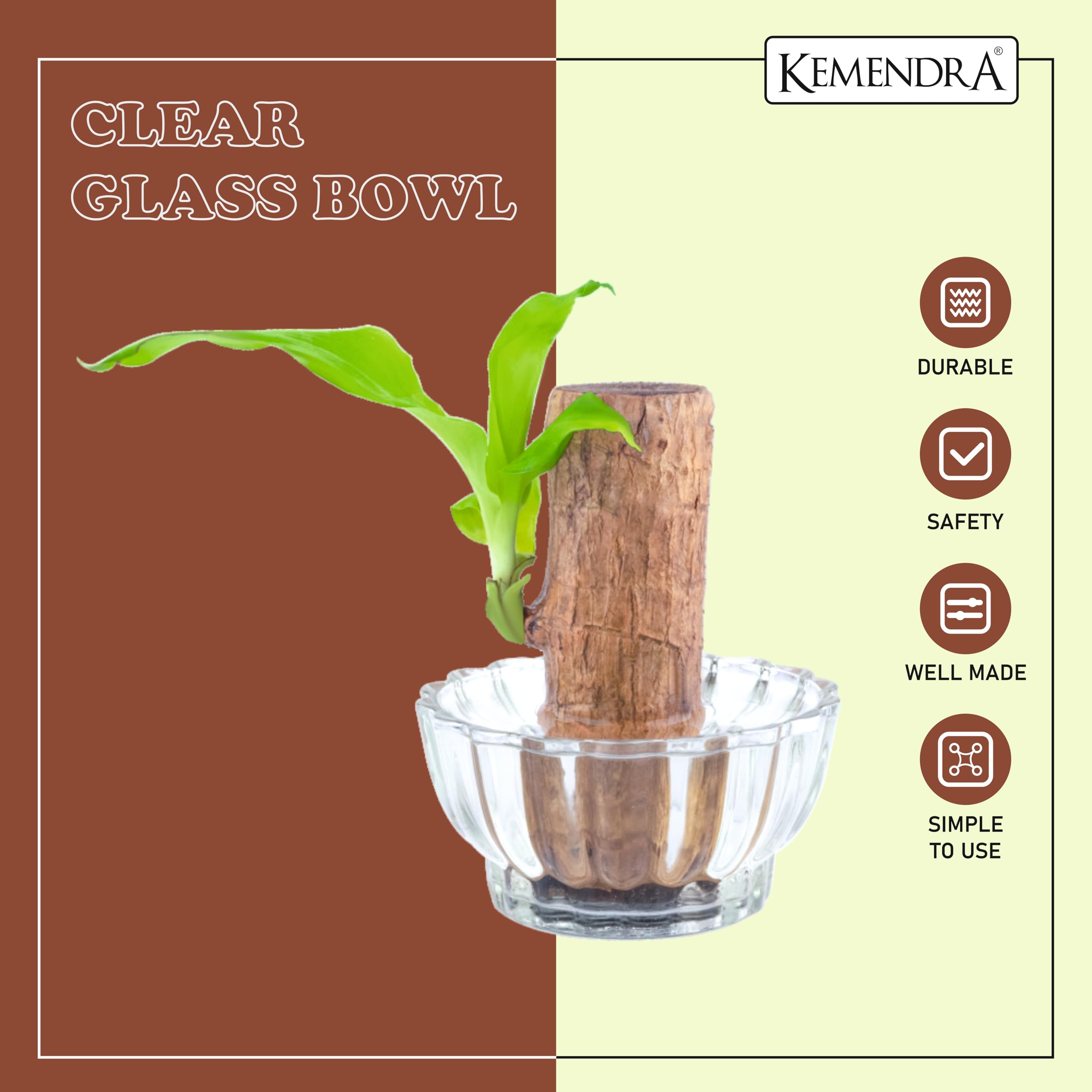 Kemendra® Bamboo Pots | Glass pots for Lucky Bamboo | Decorative Glas | Transperant Glass Curved Dish   | Crystal Cut Glass Pot for Brazilian Wood Plant | (Plant not Included) (Bamboo Pots Pack 1) - Image 5 thumbnail