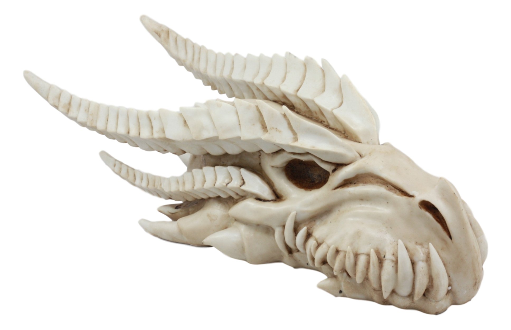 Gifts & Decor Large Dragon Fossil Skull Remains Legendary Beast