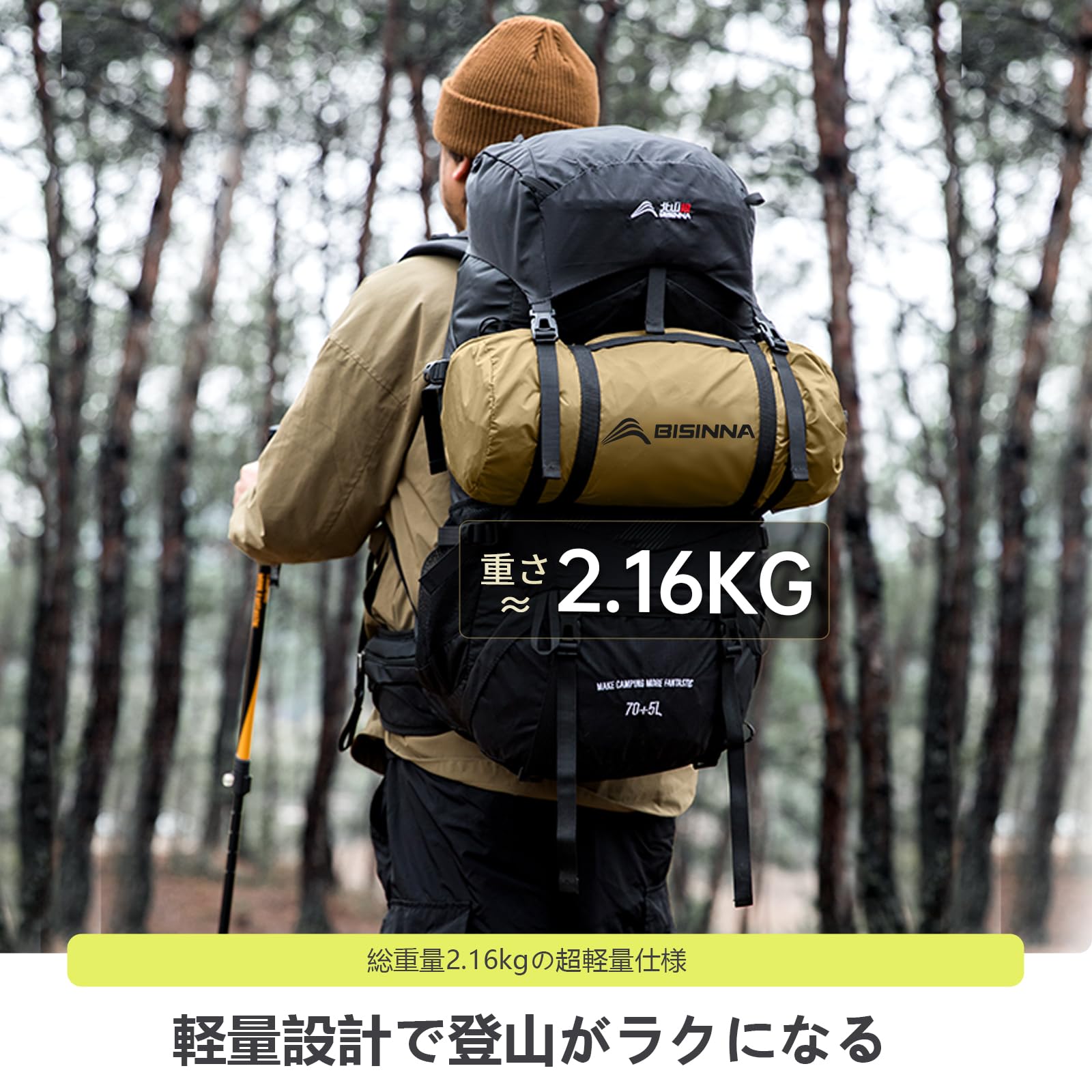 Amazon.co.jp: BISINNA: テント・タープ