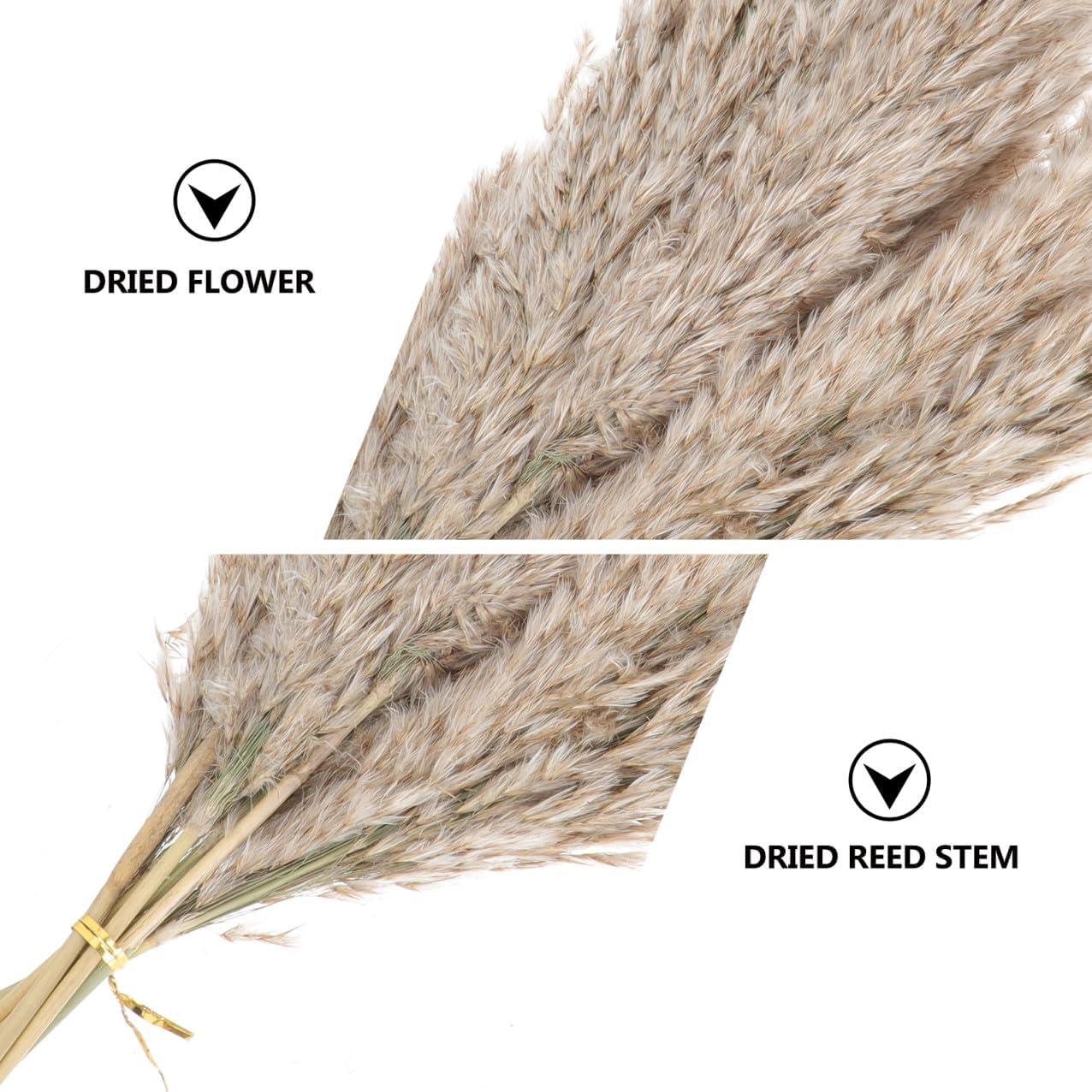 BESTOYARD 3sets Romantic Dried Flower Bouquet Natural Preserved Flowers for Home Decor Wedding Arrangements and Photography Props Lifespan Without Water Soil