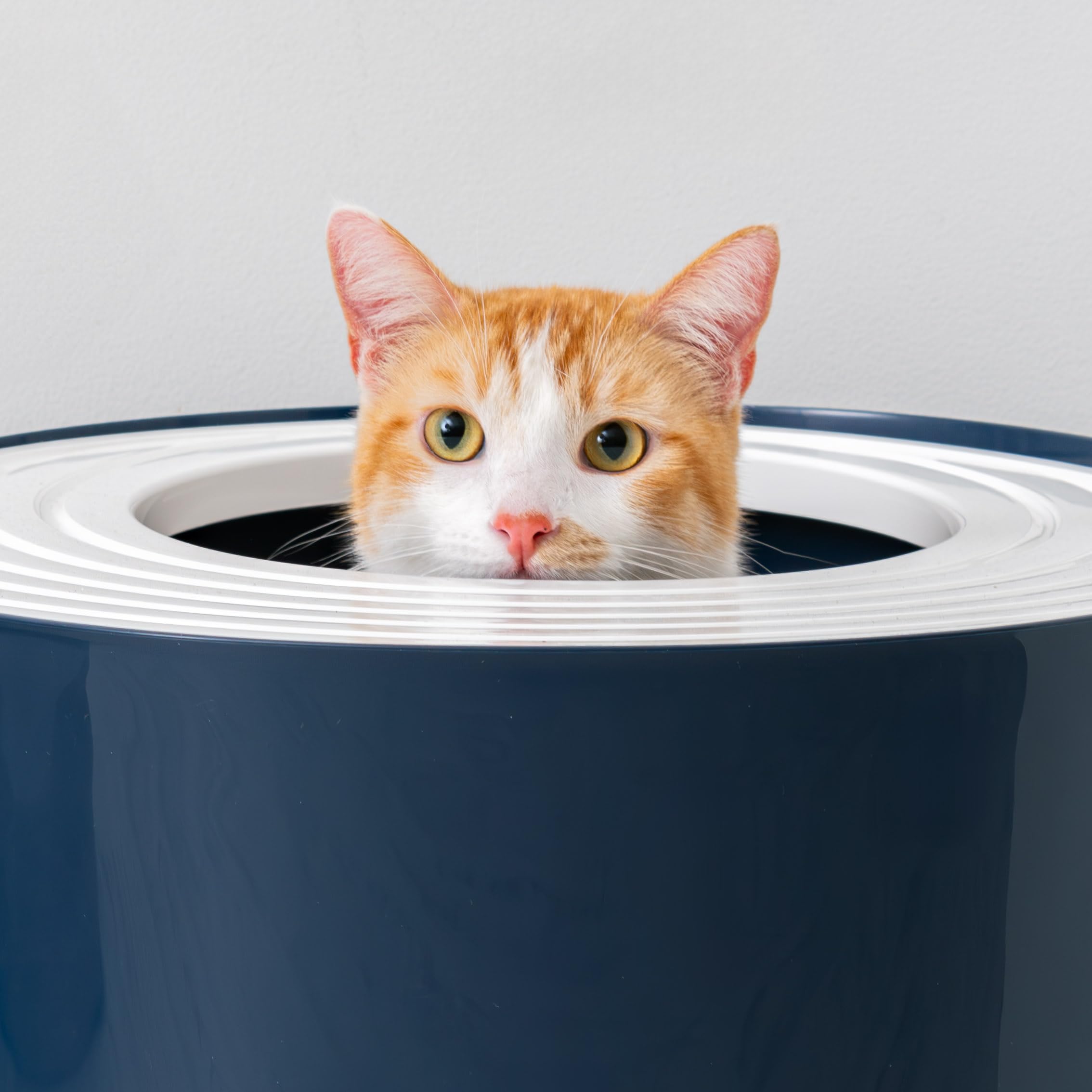 IRIS USA Caja de arena grande para gatos con tapa, entrada superior, recinto cubierto, a prueba de perros, control de dispersión de arena, reducción de olores, incluye pala, azul marino/blanco