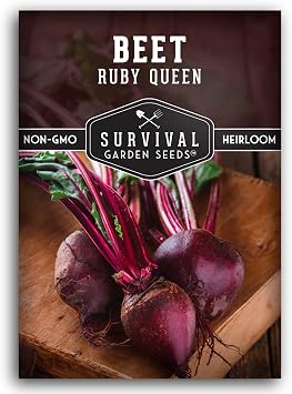 Ruby Queen Beet Seeds for Planting Survival Garden Seeds 1 Pack