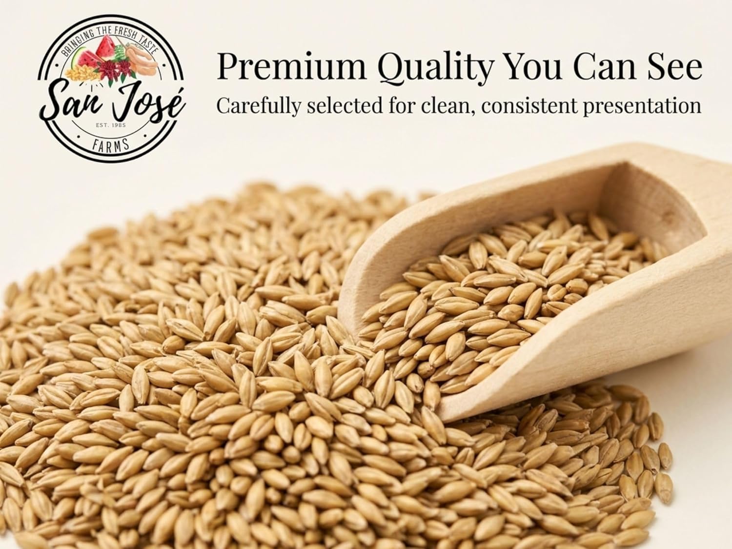 Canary Seeds – 5LB Natural Grain for Human Consumption