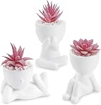 Der Rose 3Pcs Fake Plants Small Artificial Succulent, Cute Faux Plants for Home Bathroom Living Room Office Desk Shelf Black Decor Indoor