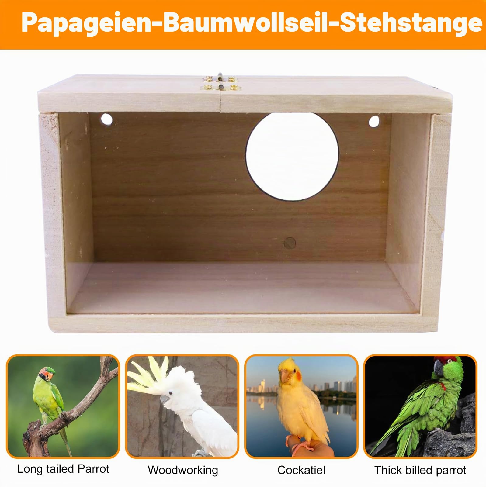 Transparentes Vogelzuchtbox Wellensittich Nistkasten: LEKEFET Wellensittich Holz Zuchtbox Massivholz Papagei Zucht Box Vogelzucht Brutkasten Vogelhaus für Sittich Lovebirds Papageien12*12 * 19.5cm