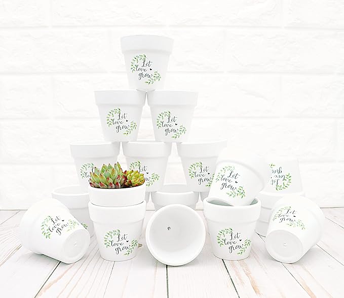 2.5 Inch Succulent Pots 20 Pcs Small Clay Pots White Mini