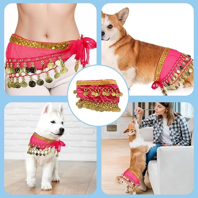 Falda de Danza del Vientre para Perros - Disfraz miniatura 2