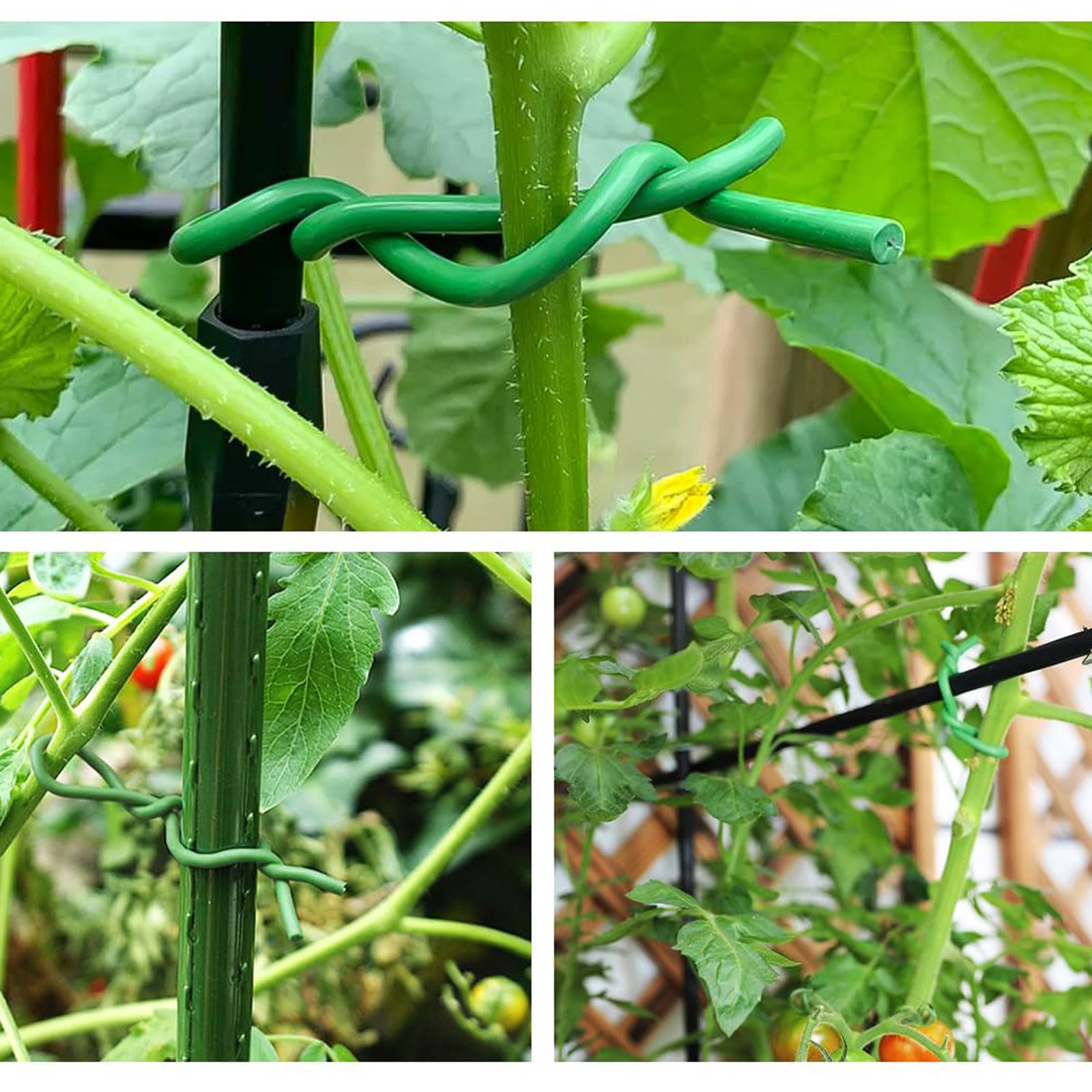 Attaches souples pour plantes grimpantes, tomates et jardin - Idéal pour les fleurs et le tuteur - Taille : 3,5 mm, 10 m