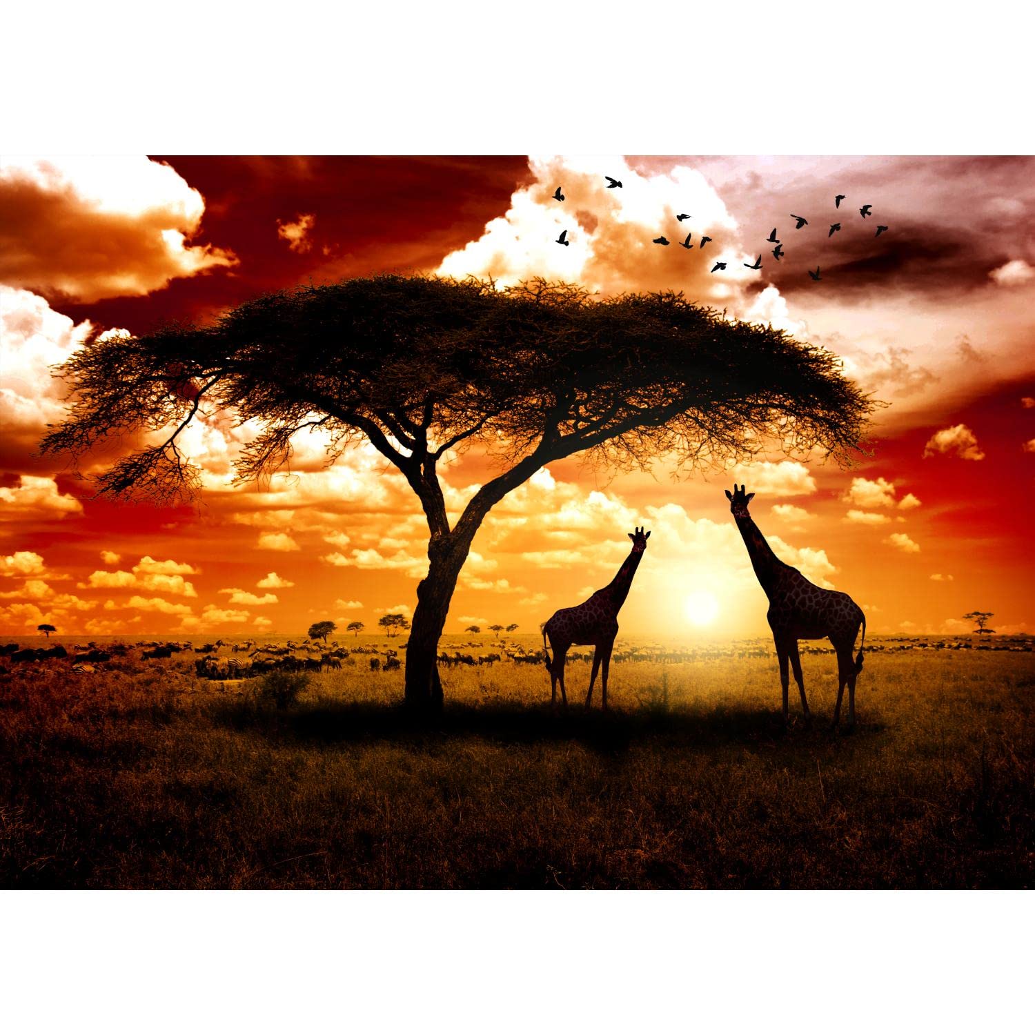 Runa Art Wallpaper 396 x 280 cm Africa Giraffes Non-Woven Decoration Print Wall Mural Living Room - Made in Germany - Brown Orange 9110012b