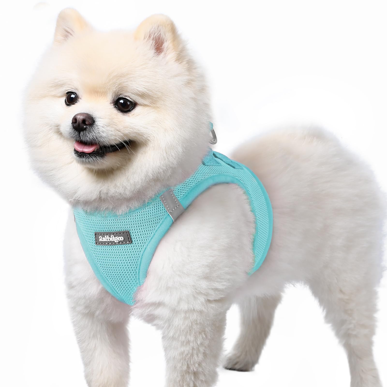 rabbitgoo Hundegeschirr kleine Hunde, Step-in Soft Mesh Hundegeschirr mit Sicherheitsverschluss, atmungsaktives und reflektierendes Welpengeschirr für kleine Hunde