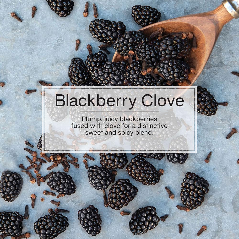 Little Trees Blackberry Clove Air Fresheners 12 Pack