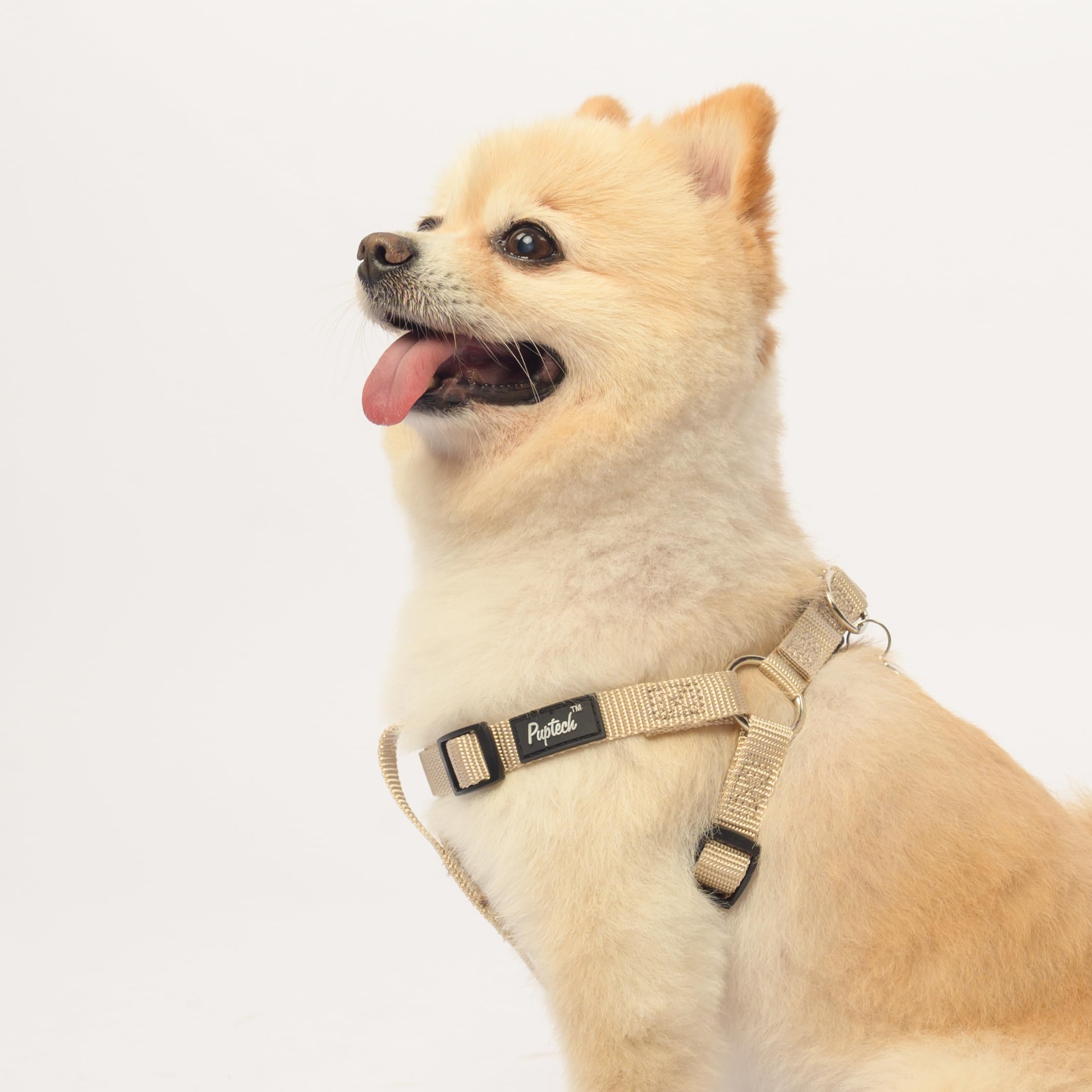 PUPTECK Pettorina per cani senza tirare, in morbido nylon regolabile, in gilet per cuccioli all'aperto, con etichetta identificativa, crema, XS