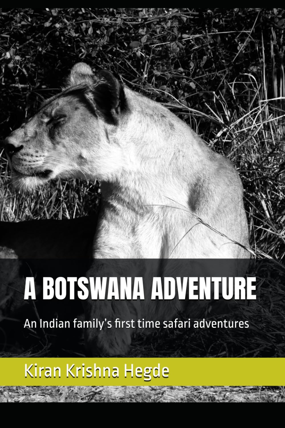 A BOTSWANA ADVENTURE: An Indian family’s first time safari adventures