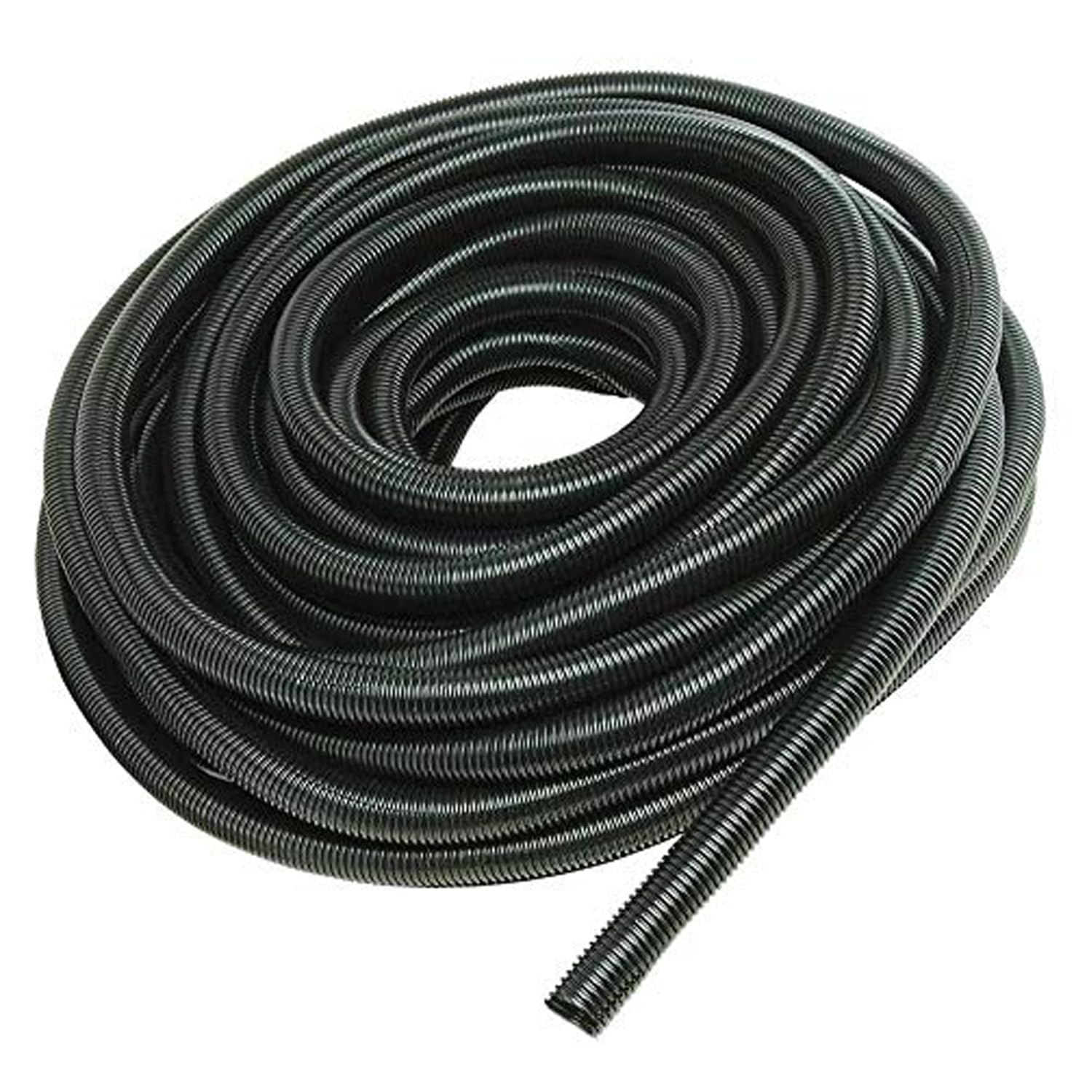 American Terminal 1/2