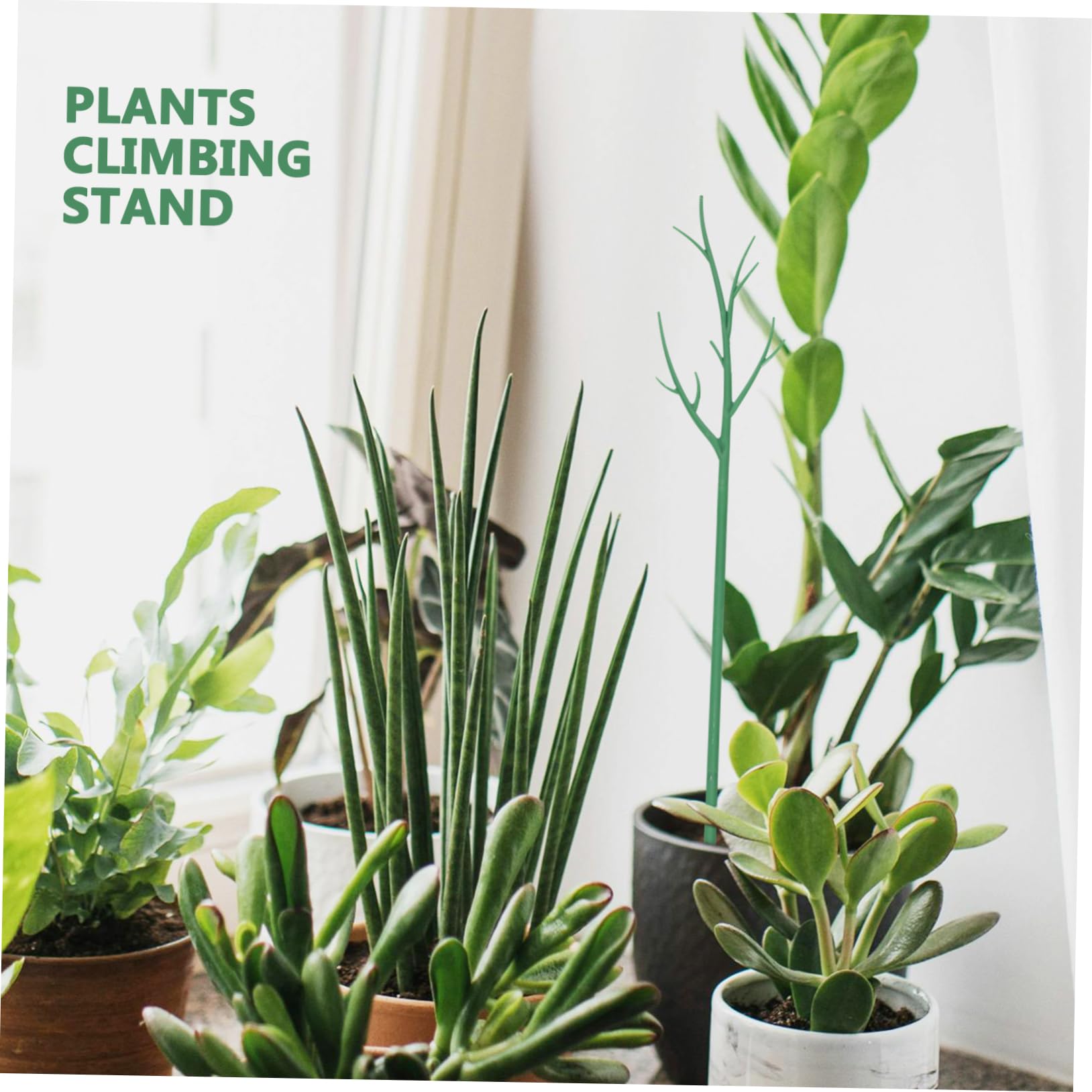 6pièces Piquets De Support pour Plantes Détachables Lot de Treillis Plastique pour Plantes Grimpantes Et Potted Plants Accessoire De Jardin Pratique Et Élégant