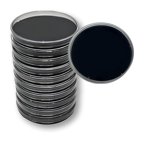 Placas de agar con extracto de levadura de malta con carbón activado (MYA) - 10 placas Petri preparadas estériles para proyectos de cultivo de