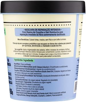 Máscara de Tratamento Danos Vorazes 450g Lola Cosmetics