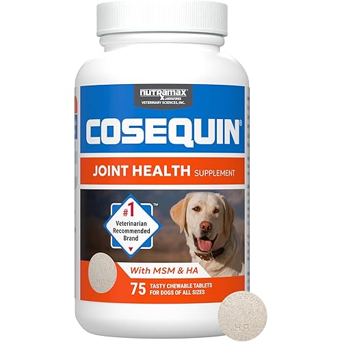 Nutramax Cosequin for Dogs Joint Health Supplement, Contains Glucosamine for Dogs, Plus Chondroitin, MSM and HA, Supports Healthy Joints, Chewable Tablets, 75 Count