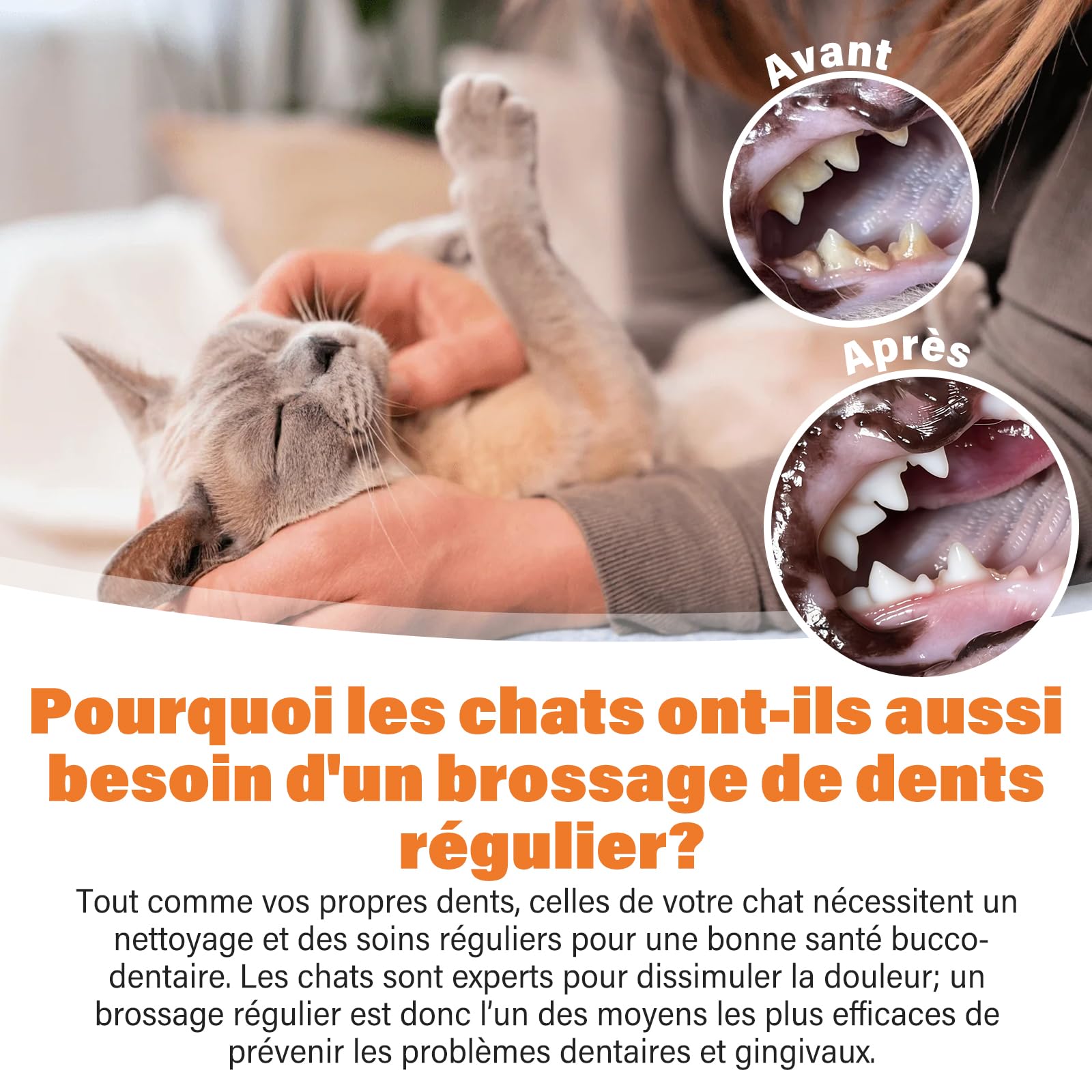 UNEK Kit de soins dentaires pour chat – Dentifrice enzymatique 30 g au goût saumon, avec brosse à dents et brosse à doigts, pour réduire la plaque dentaire et la mauvaise haleine