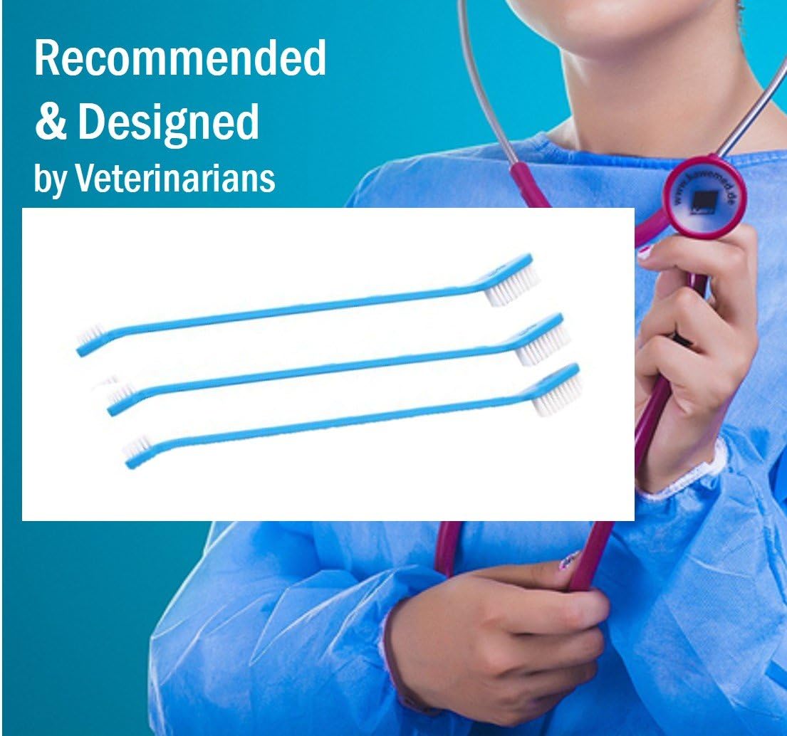 Vet Worthy Toothbrushes for Dogs (Set of 3) : Pet Supplies