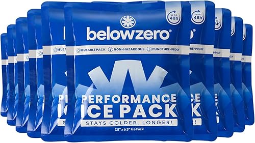 Below Zero Reusable Ice Packs for Lunch Box and Cooler Bags  Patent Pending Coldest and Longest Lasting Technology, 8+ Hour Cooling Ice Gel Pack -