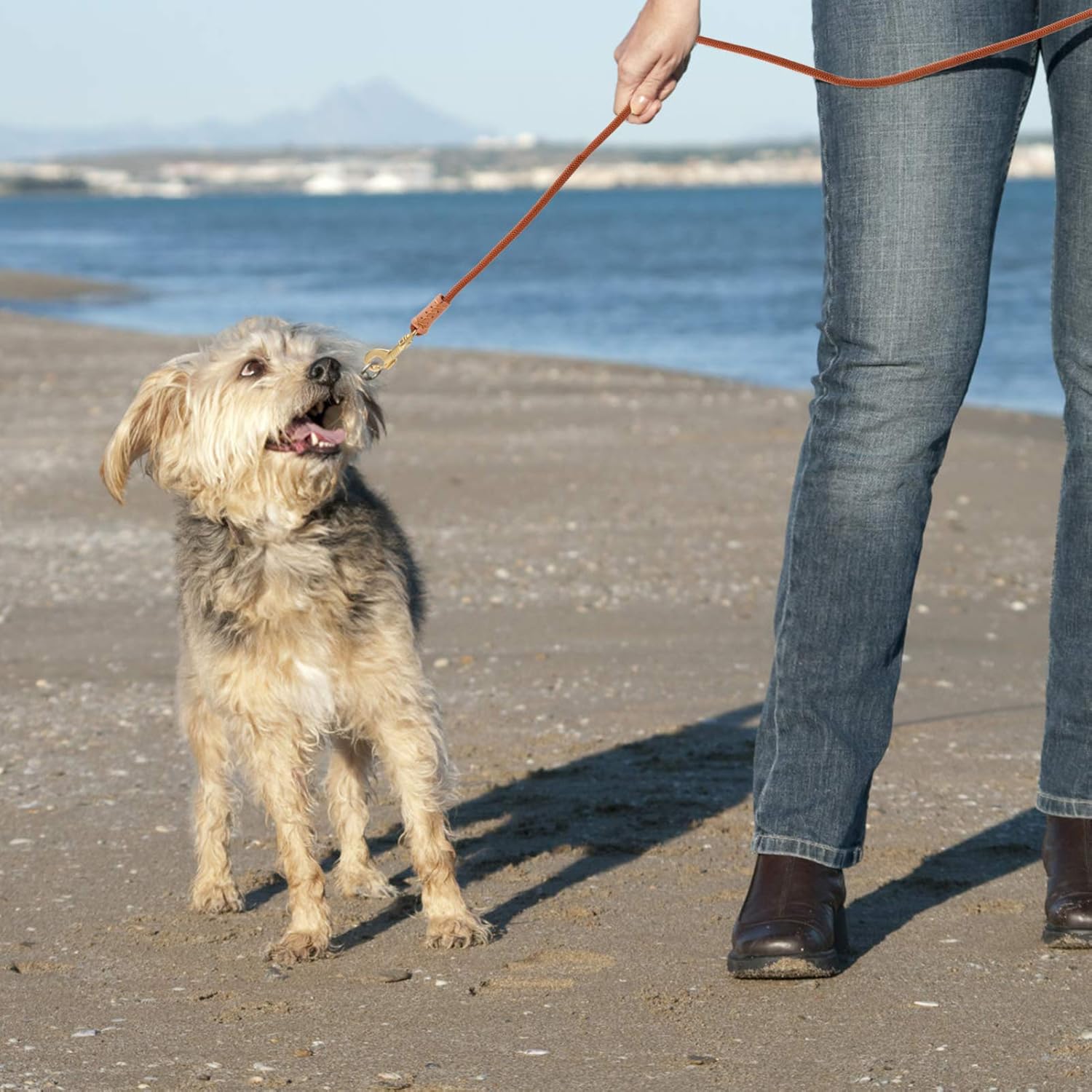 POPETPOP 20m Heavy Duty Nylon Dog Training Leash Pet Walking Leash for Dogs Lightweight and Wear-Resistant for Outdoor Training and Exercise