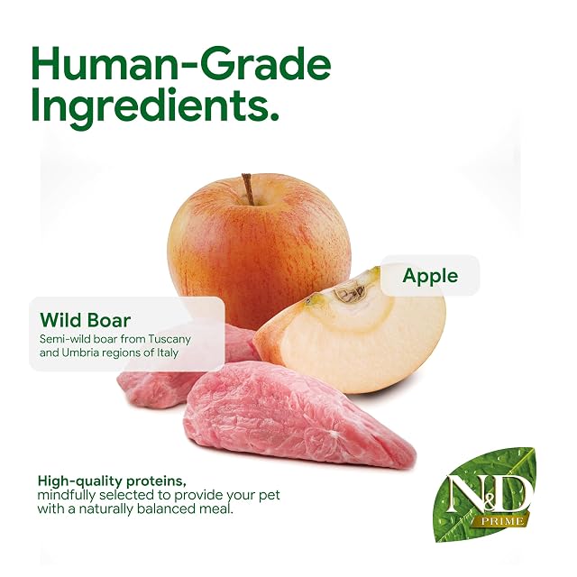 Foto 4 de 8 de N&D Prime Dog Wild Boar and Apple Adult Mini 7KG