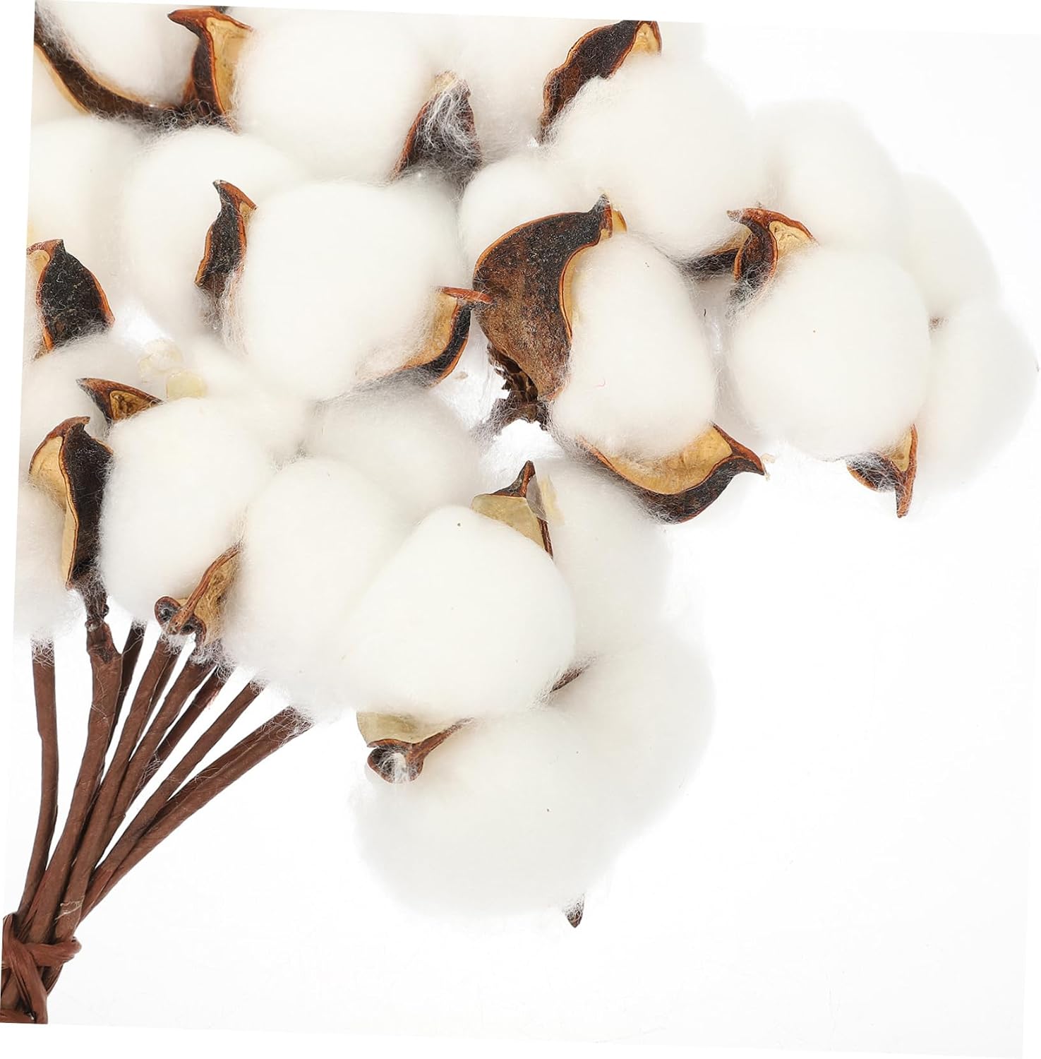 Hemobllo Natural White Cotton Balls Branches for DIY Festive Decor Lightweight Reusable Dried Cotton Stems for Christmas Wedding Photography Holiday Party Decorations