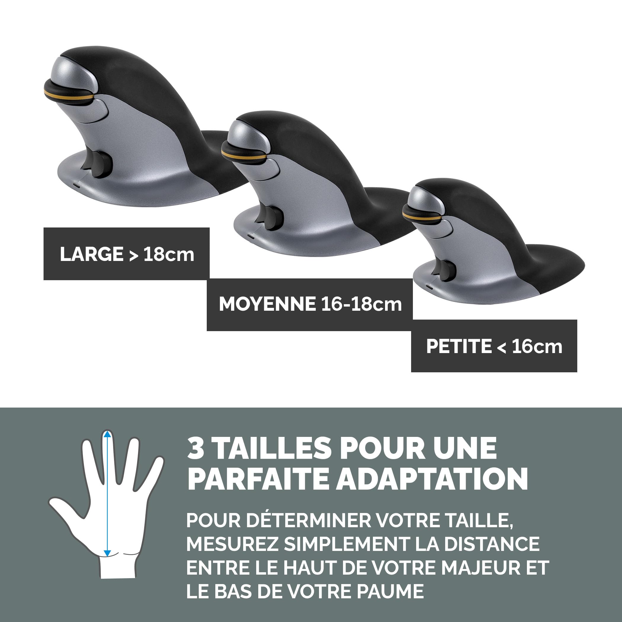 Fellowes 9894701 Souris Ambidextre RF sans Fil 1200 DPI