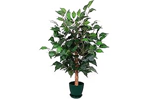 2ft Ficus Silk Tree: Unparalleled Realism for Home Decor Bliss