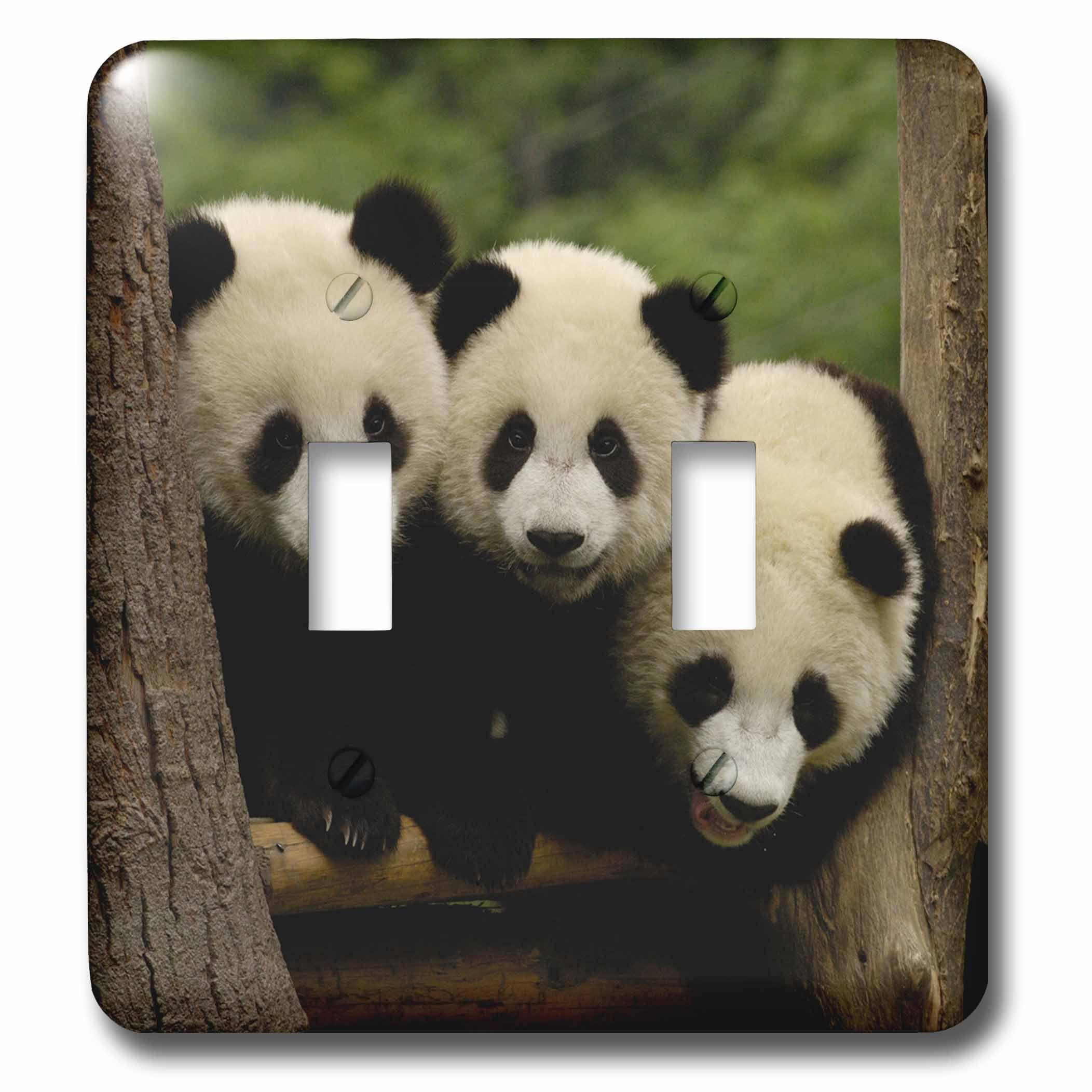 Interrupteur double panda Wolong Chine pour décoration chambre enfant