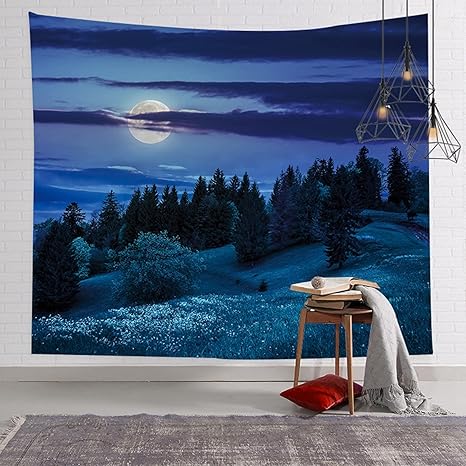 Amazon Co Jp 夜景タペストリー 大判 美しい満月の夜空と海 おしゃれ インテリア ファブリック装飾用品 多機能 模様替え 部屋 窓カーテン 個性ギフト ポスター おしゃれ かわいい 海外の風景 窓 海 カラー 0 150 タペストリー 壁掛け ホーム キッチン