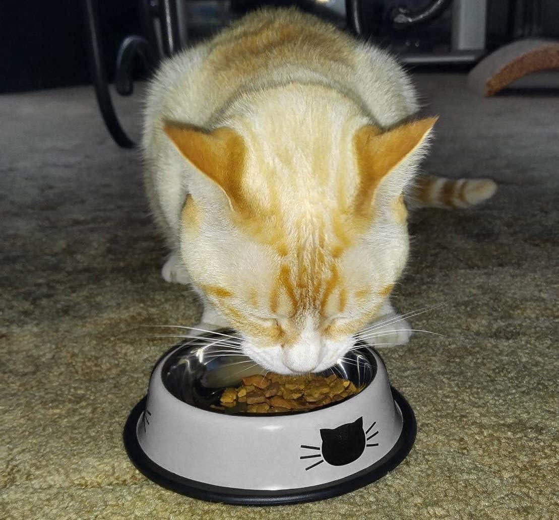 71psIPrMFyS. AC SL1109