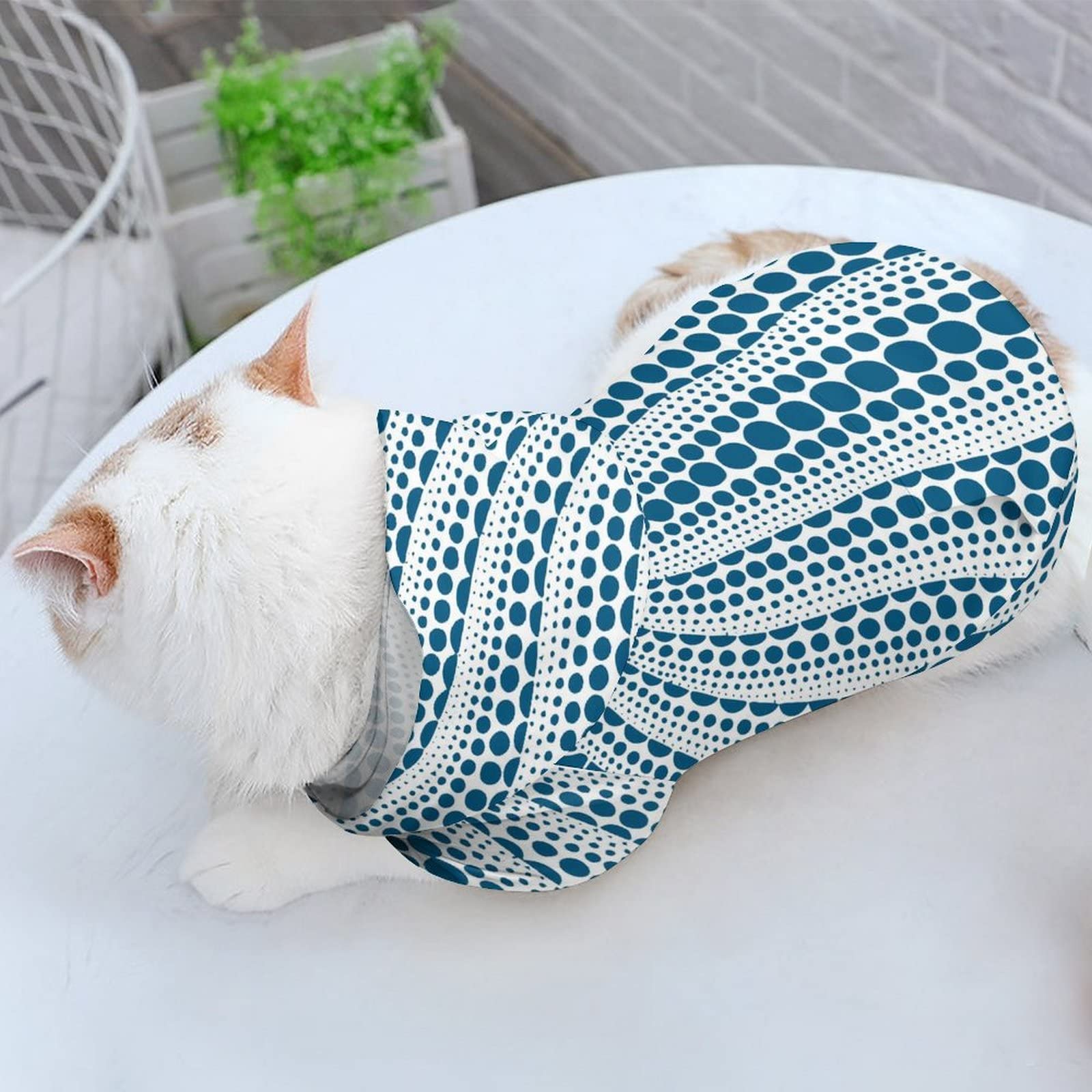 Sewing Cat Sweater Patterns Free Sphynx Cat Sweater Crochet