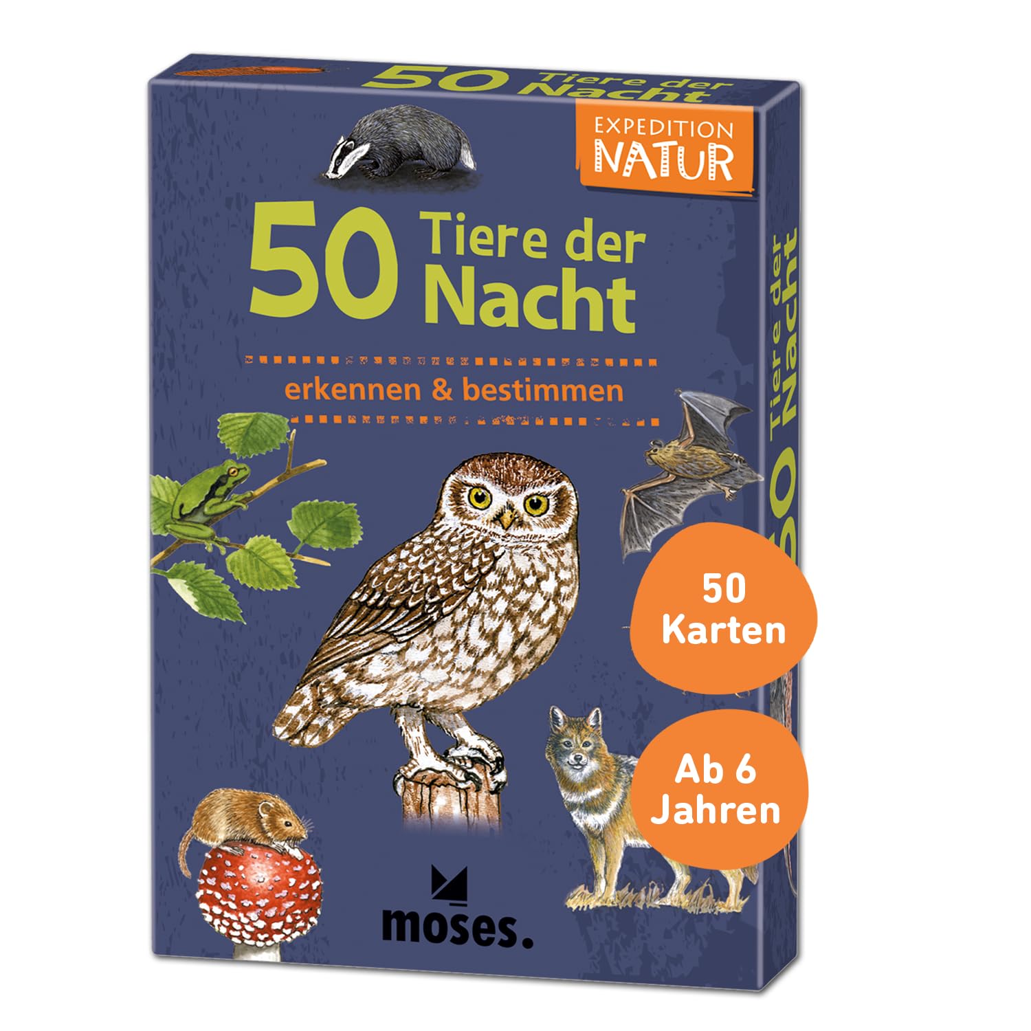 moses. 4033477098658 Expedition Natur: 50, Night & Dusk Active Detect and Determine, Card Set for Children from 6 Years, with Exciting Quiz Quiz Questions About Popular Nocturnal Animals, White