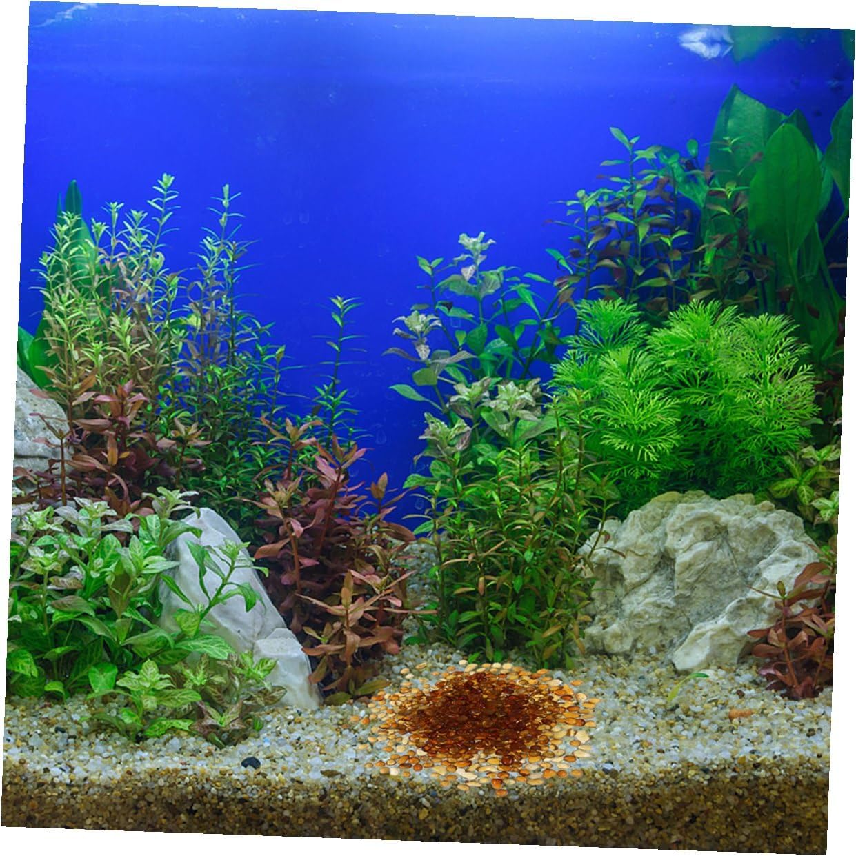 Aquarium Gravel Fish Tank Substrate Natural Colored Pebbles 500g Dual-Tone Red Amber Decorative Stones for Indoor Plants and Freshwater Aquariums